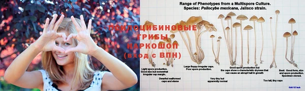 MDMA Ладушкин