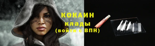 Альфа ПВП Ессентукская