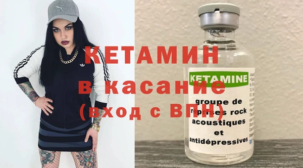 стаф Новосибирск