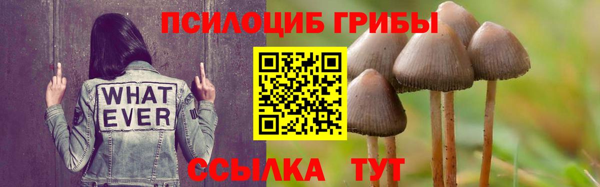 Псилоцибиновые грибы Cubensis  Галлюциногенные грибы Psilocybe  Вход с VPN  Белгород 
